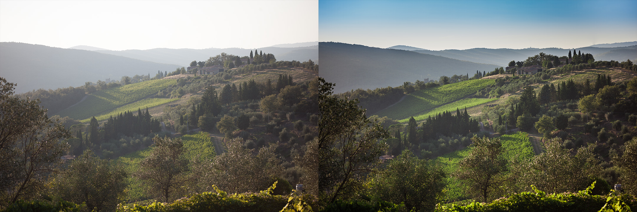Confronto immagine raw e corretta by DiMMD esterno paesaggio con vigna