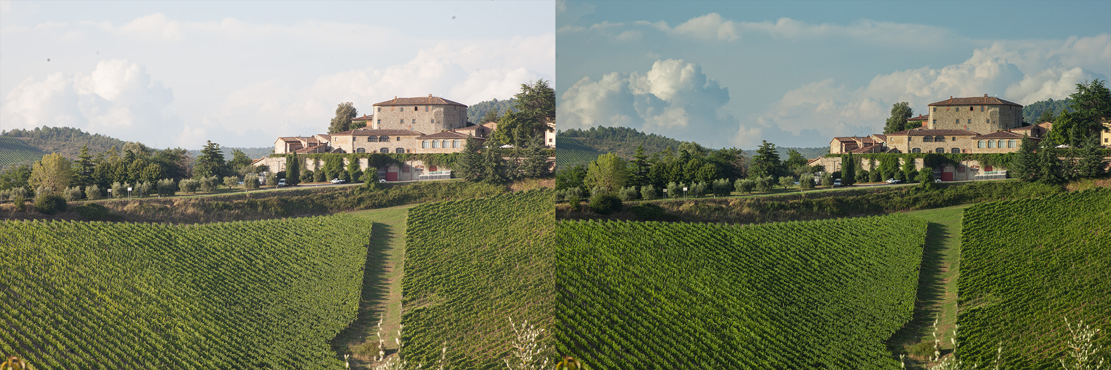 Confronto immagine raw e corretta by DiMMD totale della rocca